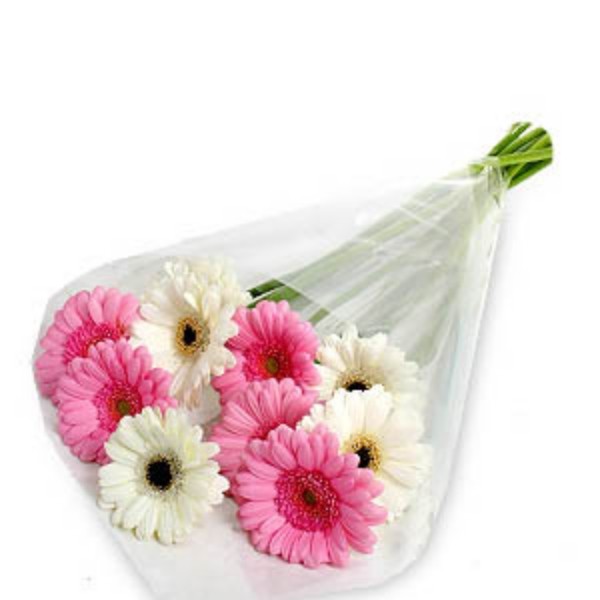 Florista Online - Flowers, cakes and Gifts Delivery Philippines. | Flower Delivery Philippines. Florista Online is the First to offer Online Flower, Cake and Gift Delivery Service using Mobile Application in the Philippines. Order gifts, send flowers on any of your special celebrations by just using a single app, our service is just one click away. Our goal is to make sending flower and gifts faster, convenient and easier at a very affordable and reasonable price.
